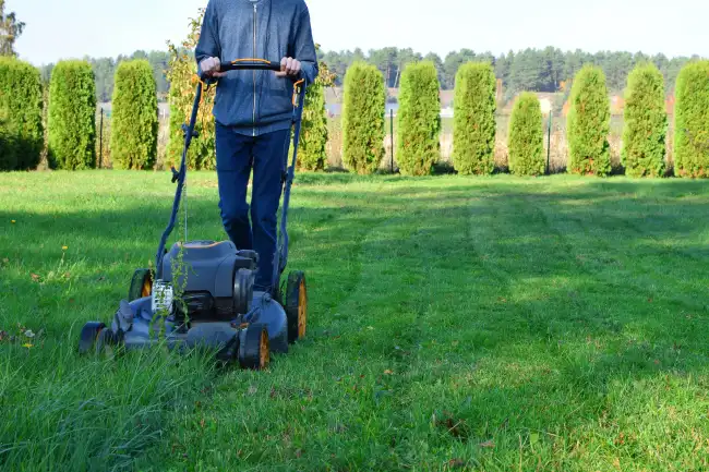 Can you mow wet grass in Edinburg, TX