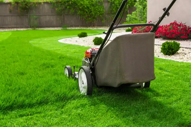 Can you mow wet grass in Edinburg, TX