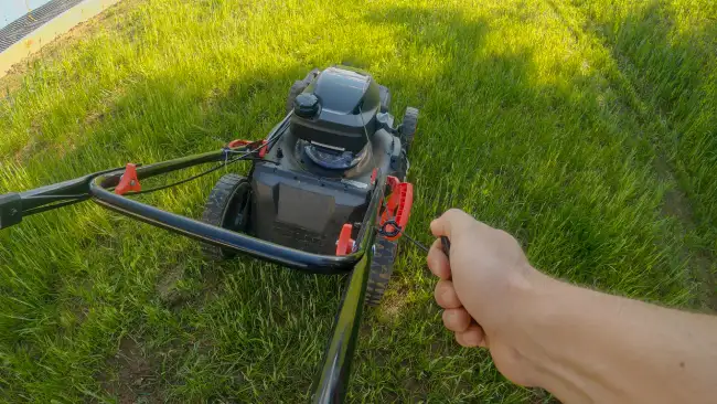 How to mow a lawn in Edinburg, TX