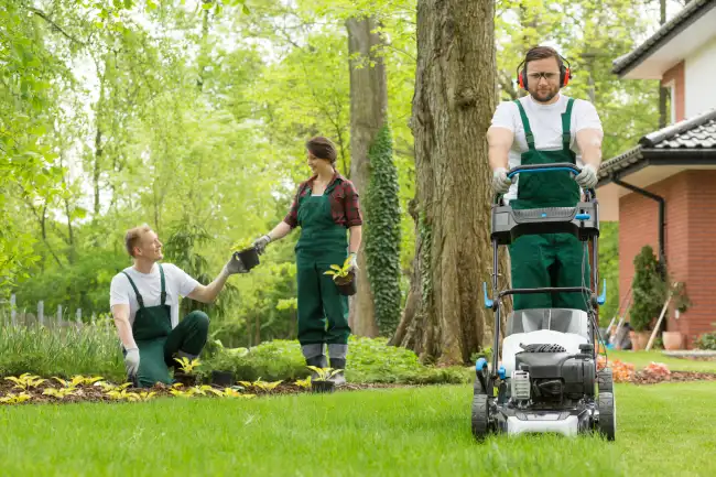 How to mow a lawn in Edinburg, TX