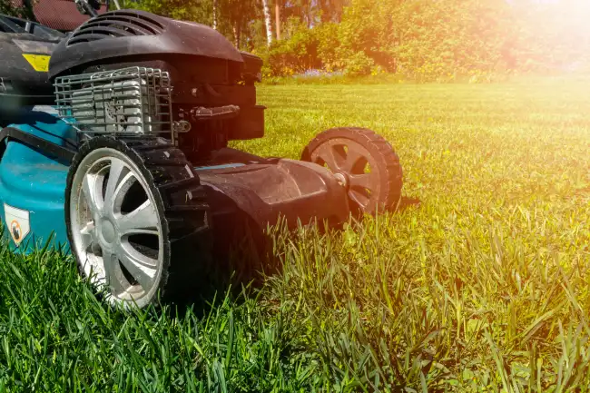 Reliable lawn mowing in Edinburg, TX