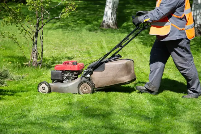 Affordable lawn mowing in Edinburg, TX