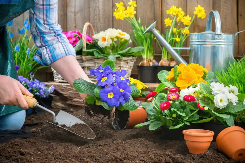 Trusted mulching in Edinburg, TX