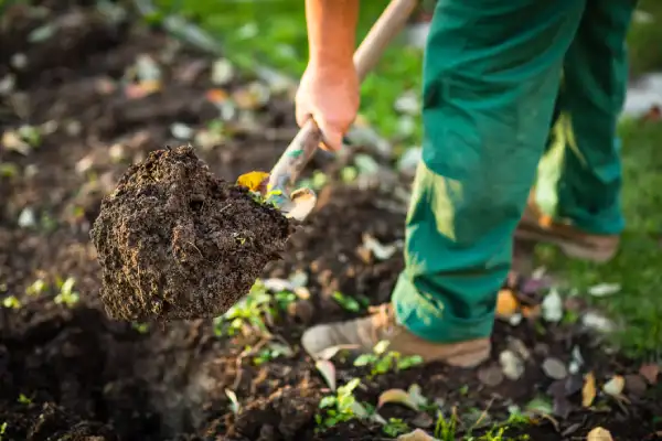 Mulching